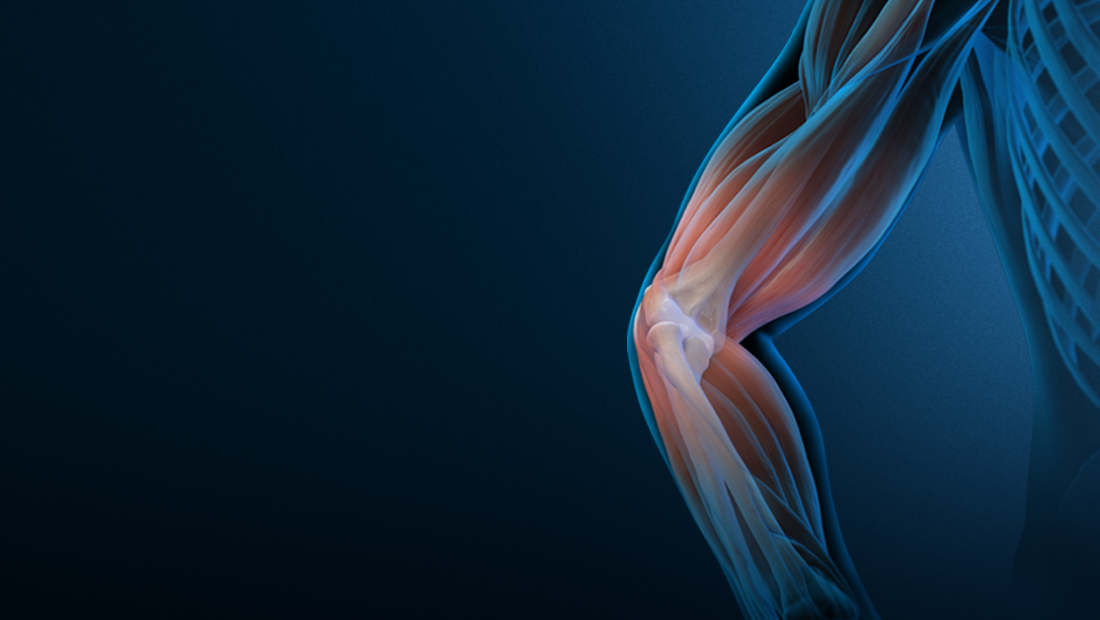 Elbow Orthopedia Academics